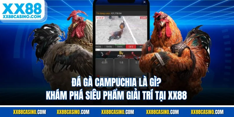 Mẹo Rút Tiền An Toàn Và Không Bị Trễ Trên XX88 - Bí quyết giữ vững lợi ích và an toàn trong giao dịch